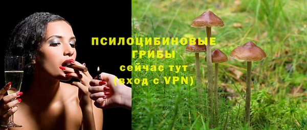 а пвп мука Арсеньев